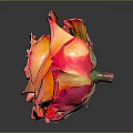 Pink And Orange Gradient Rose On Black Background With Reflection 3d model