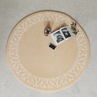 Modern Round Carpet 3d model