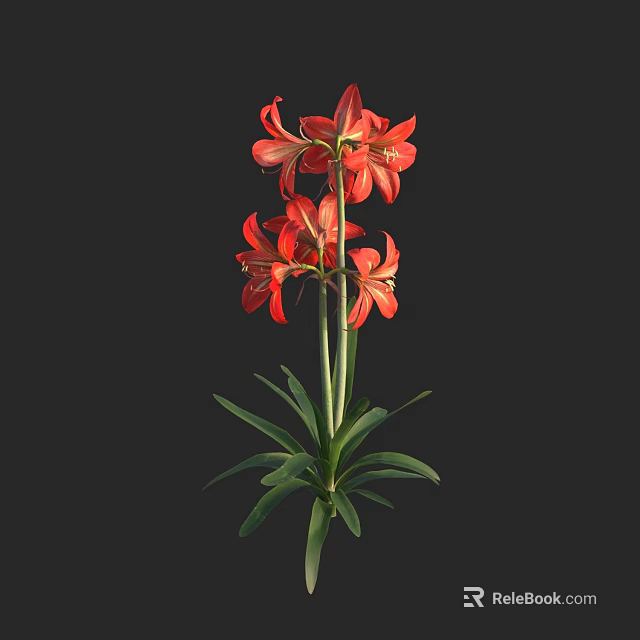 Red Lilies With Vibrant Petals Green Stems And Lush Leaves On Black Background 3d model 