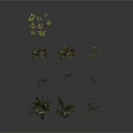 Various Types of Green Plants Including Ferns and Herbs Arranged on Gray Background