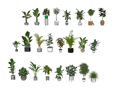 Assorted Bonsai And Potted Plants With Various Leaf Types And Decorative Pots 3d model
