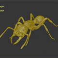 Realistic Detailed White Ant with Extended Legs on Reflective Black Surface
