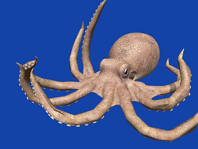 Brown Octopus With Long Curved Tentacles And Big Eyes On Blue Background 3d model