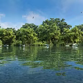 Stunning Natural Riverside Landscape With Lush Green Trees Calm Water Bright Blue Sky And Birds
