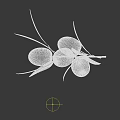 Green Olive Branch With Fresh Green Olives And Vibrant Leaves On White Background