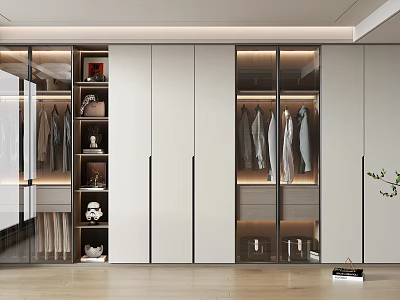 Modern Wardrobe Interior Design With Glass Doors Hanging Clothes And Storage Shelves 3d model