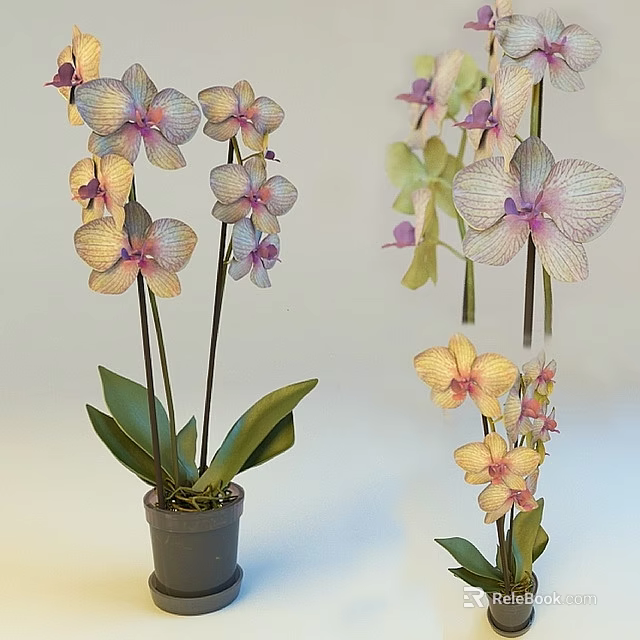 Orchid Bonsai Potted Plant With Colorful Flowers And Green Leaves In Pot 3d model 
