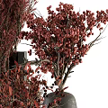 Modern Black Vases With Red Flowers Berries And Leafy Branches Arrangement