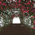 Beautiful Pergola With Hanging Lights Vines And Colorful Flowers Along Wooden Walkway