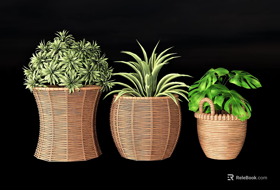 Bonsai Potted Plants with Wicker Pots and Various Green Leaves for Decorative 3d model 