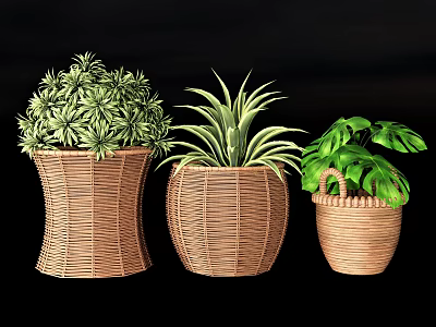 Bonsai Potted Plants with Wicker Pots and Various Green Leaves for Decorative 3d model