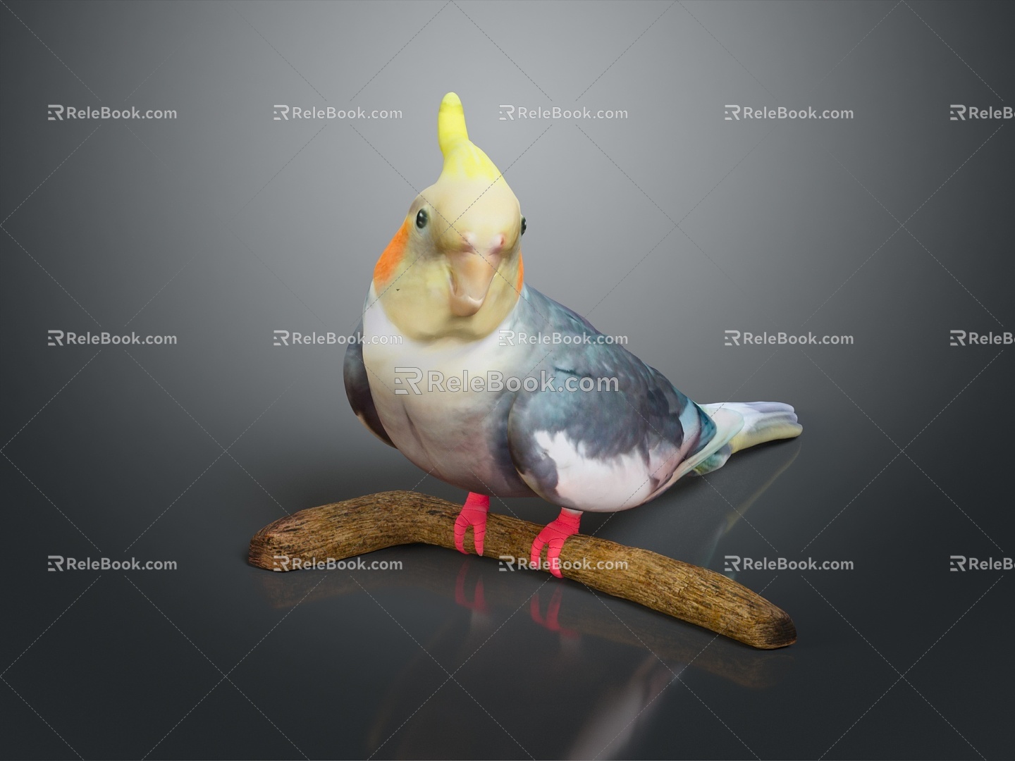 bird bird bird bird game animal cartoon animal animal realistic animal 3d model