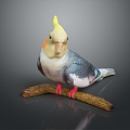 bird bird bird bird game animal cartoon animal animal realistic animal 3d model