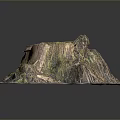 Natural Tree Stump With Exposed Roots And Green Moss On 3d model