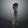 Natural Wood Tree Stump Decorative Piece With Green Stone Base And Natural Texture