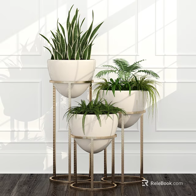 Indoor Bonsai Potted Plants In White Pots With Metal Stands And Green Foliage 3d model 