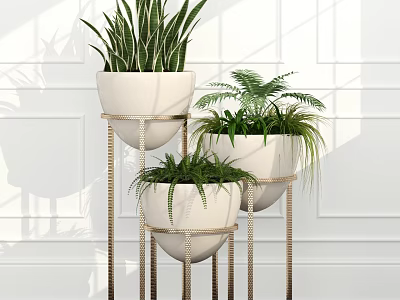 Indoor Bonsai Potted Plants In White Pots With Metal Stands And Green Foliage 3d model