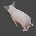Cute Pink Pig 3D Model as Game Movie Character in Rendered Scene