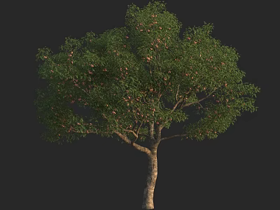Lush Arbor With Green Foliage Brown Trunk And Ripe Fruits 3d model