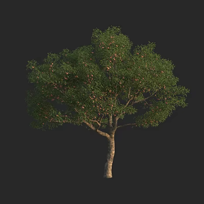 Lush Arbor With Green Foliage Brown Trunk And Ripe Fruits 3d model