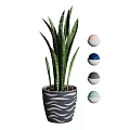 Snake Plant Potted In Wave Patterned Ceramic Pot With Blue Gray Pink Green Decorative Balls