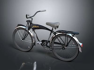 Vintage Bicycle With Black Body Silver Fenders And Classic Design 3d model