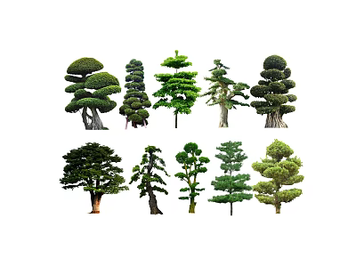 Different Types Of Ornamental Arbor Trees With Varied Pruned Shapes For Garden 3d model