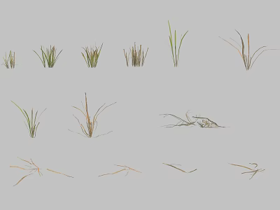 Various Forms of Green and Brown Grass in Tall and Short Sizes on Gray Background 3d model
