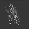 White Line Butterfly Design With Particle Effect On Gray Background And Reflection