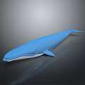 Blue Whale 3D Model With Smooth Surface On Gray Background