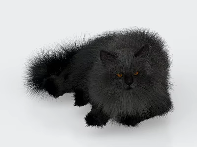 The Modern Cat 3d model