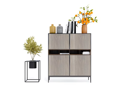 Modern Wooden Cabinet With Decorative Vases Plants And Side Table 3d model