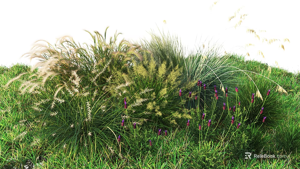 Lush Natural Garden With Tall Grasses Purple Flowers And Green Foliage 3d model 