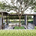 Modern Pergola Design With Central Tree Stone Walls And Courtyard Greenery