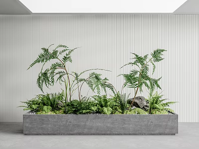 Courtyard Garden Design With Concrete Planter Box And Green Ferns Stone Elements 3d model