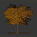 Autumn Tree with Vibrant Orange Leaves and Fallen Leaves on Green Grassy Ground