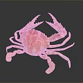 Vibrant Orange And White Patterned Crab With Large Claws On Reflective Surface 3d model
