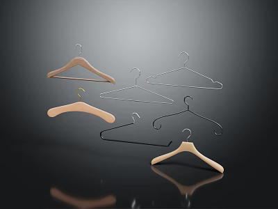 Wooden and Metal Clothes Hangers with Various Shapes for Home Organization 3d model