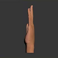 Orange 3D Human Hand Organ Model With Extended Fingers And Palm Up