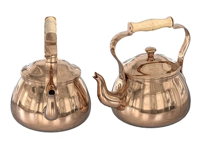 Pair Of Polished Copper Teapots With Wooden Handles And Classic Design 3d model