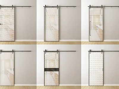 Various Stylish Barn Door Designs With Glass Panels And Black Sliding Tracks 3d model