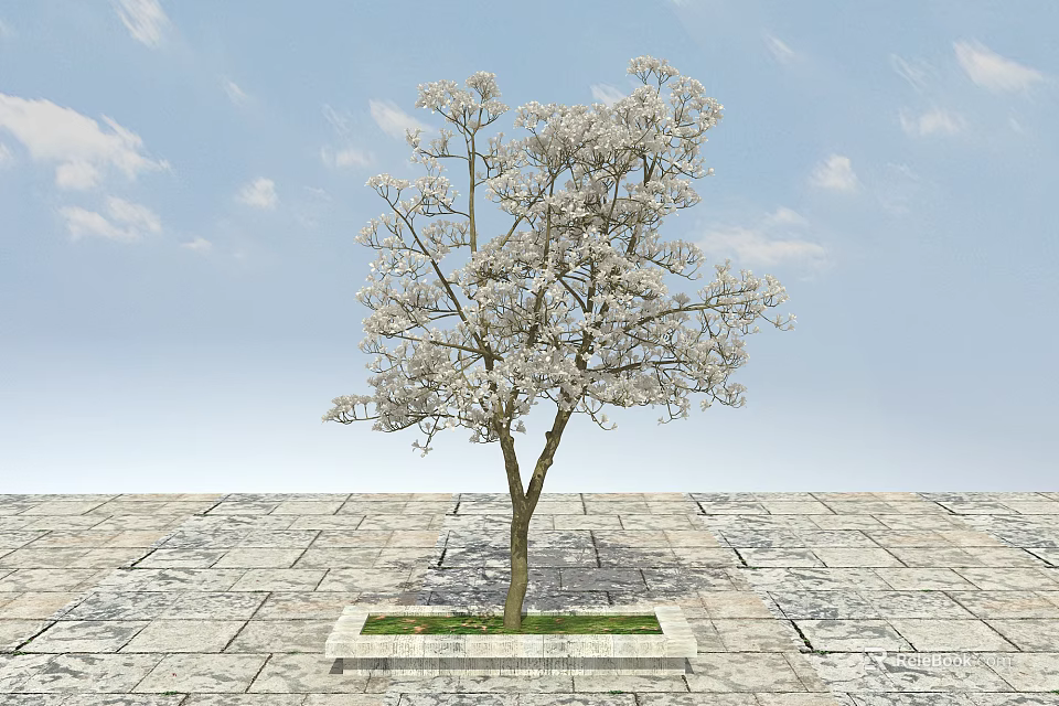 Tree Pit with White Flowering Tree on Stone Paved Ground and Blue Sky 3d model