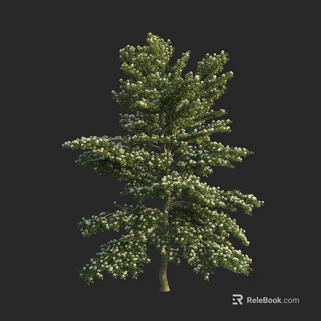 Lush Evergreen Tree With Dense Branches Green Foliage And White Accents 3d model 