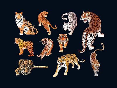tigers white tigers fierce tigers northeast tigers south china tigers wild tigers 3d model