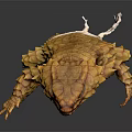 Yellow Pangolin with Full Body Scales Displayed on Dark Background with Reflection 3d model