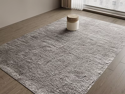 Modern Interior Stylish Gray Plush Rug On Wooden Floor With Storage Stool 3d model