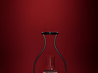 Stylish Black Line Vase For Flowers With Transparent Small Vase Inside On Red Background 3d model