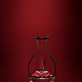 Stylish Black Line Vase For Flowers With Transparent Small Vase Inside On Red Background