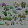 Cartoon Plant Collection With Various Types Different Colors And Shapes On Gray Background