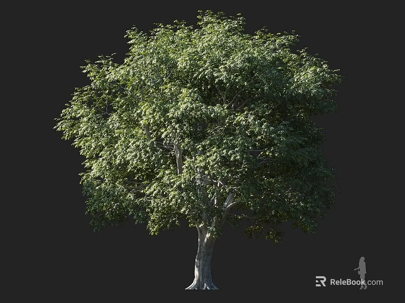 Tall Arbor With Lush Green Leaves And Thick Trunk For Outdoor Landscaping 3d model 